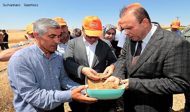 UN SANAYİNİN İHTİYACINI KARŞILAYACAK KALİTELİ BUĞDAY ‘HALİS’ AKSARAY’DA DENENDİ