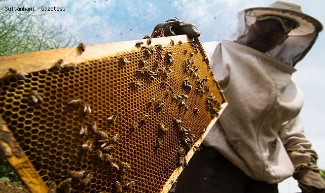 SULTANHANI İLÇESİNDE ARI ÖLÜMLERİNE KARŞI DİKKATLİ OLUNMASI İSTENDİ