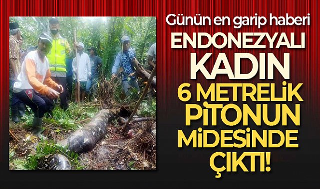 Endonezyalı kadın, 6 metrelik pitonun midesinde çıktı