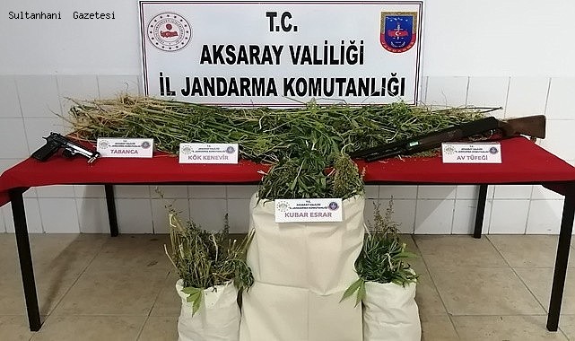 ESKİL İLÇESİNDE EVİLERİNDE VE MISIR TARLASINDA KENEVİR YETİŞTİREN 3 ŞÜPHELİ YAKALANDI