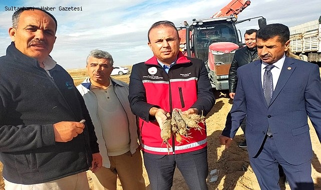 GIDA VE KOZMETİK SEKTÖRÜNDE BÜYÜK TALEP GÖREN MOR HAVUÇ SULTANHANI İLÇESİNDE DE ÜRETİLMEYE BAŞLANDI