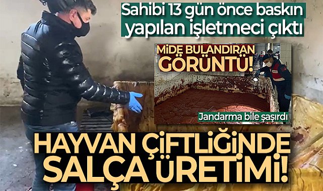 Mide bulandıran görüntüler, Hayvan Çiftliğinde Salça Üretimi