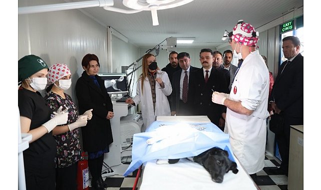 Dokuz Eylül&#039;den can dostlara şefkat eli