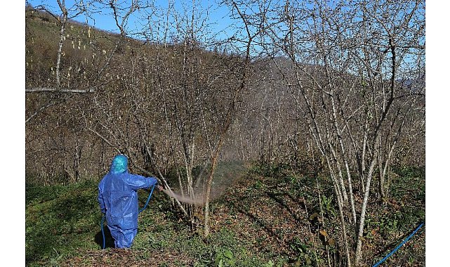 FINVER projesine yoğun ilgi