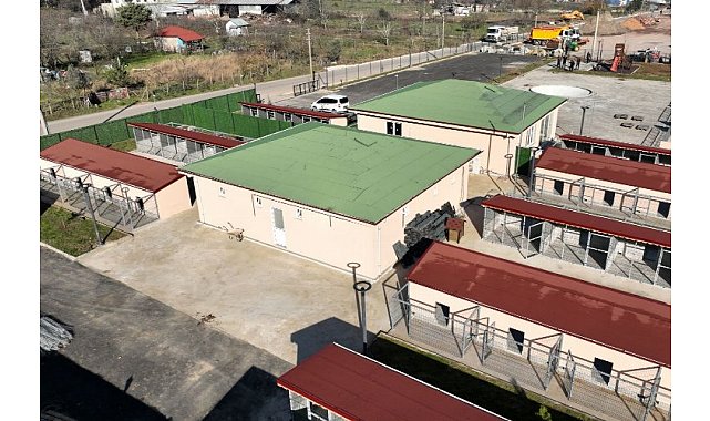 Gölcük&#039;te sokak hayvanları &#039;rehabilitasyon merkezi&#039;ne kavuşuyor