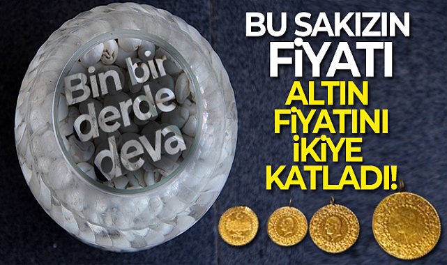 Kenger sakızının fiyatı altın fiyatını ikiye katladı