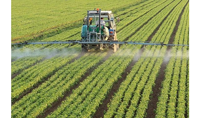 Tarım devi Ege Bölgesi 2022'de de zirvede