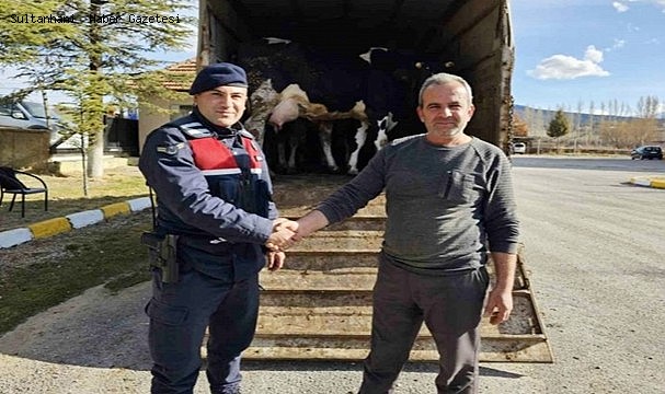 KONYA&#039;DA 300 BİN LİRA DEĞERİNDE BÜYÜKBAŞ HAYVAN ÇALAN ZANLI YAKALANDI