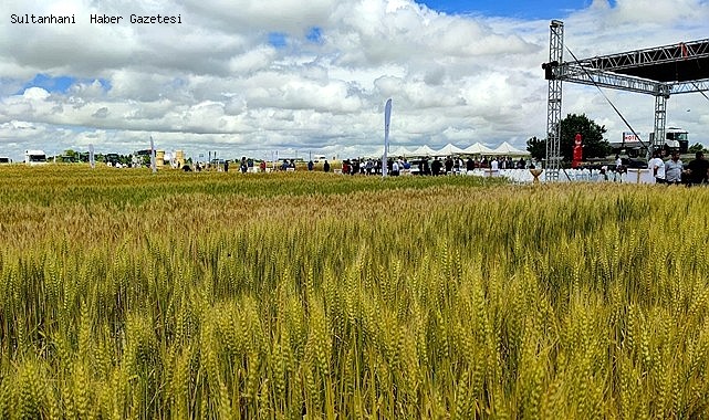 SULTANHANI&#039;NDA KURAKLIĞA DAYANIKLI 21 ÜRÜN BAŞARIYLA HASAT EDİLDİ