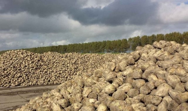 Pancar alım fiyatları güncellenmeli!