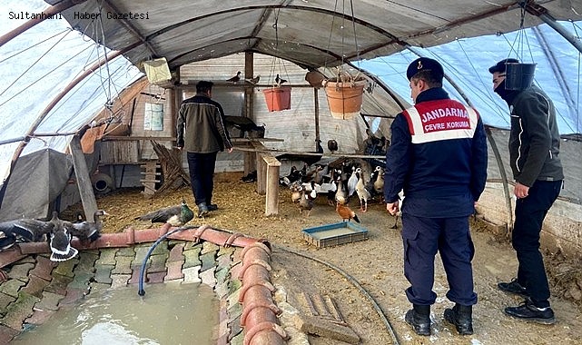 ESKİL İLÇESİNDE NESLİ TÜKENMEKTE OLAN HAYVAN TİCARETİ YAPAN ŞAHIS YAKALANDI