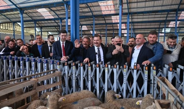 Hayvancılığa büyük destek