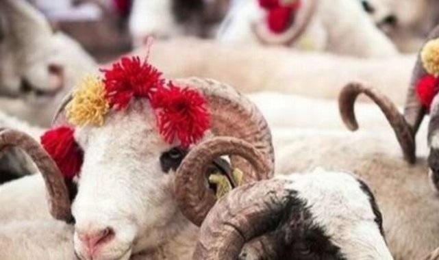 Türk Kızılayı&#039;nın kurban vekalet fiyatları belli oldu