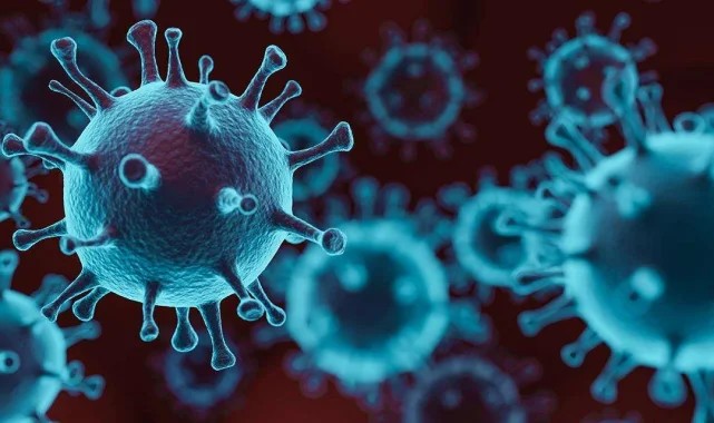 Ankara&#039;da &#039;maymun çiçeği&#039; iddialarına açıklama