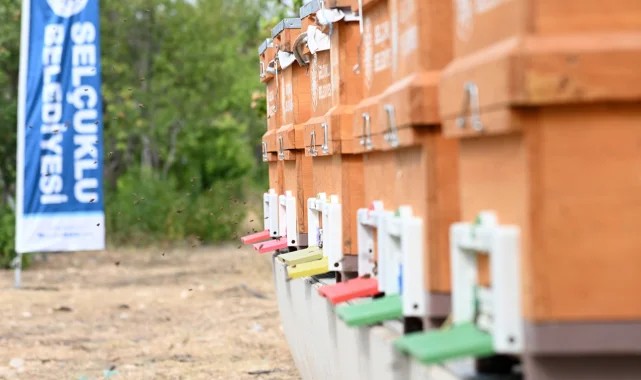 Konya Selçuklu&#039;da arılı kovan desteği