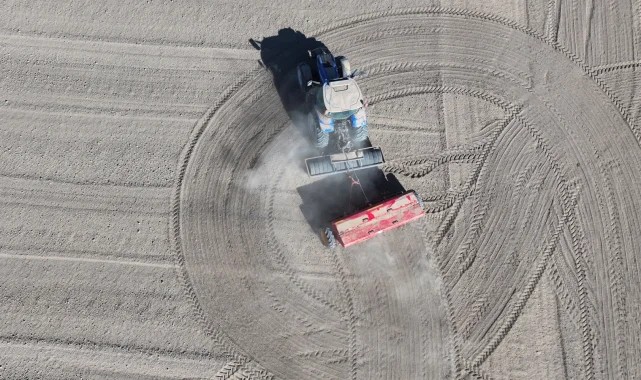 Konya&#039;da atıl araziler ekonomiye kazandırılıyor... 800 dekarlık atıl arazide kuraklığa yerli buğday ekimi