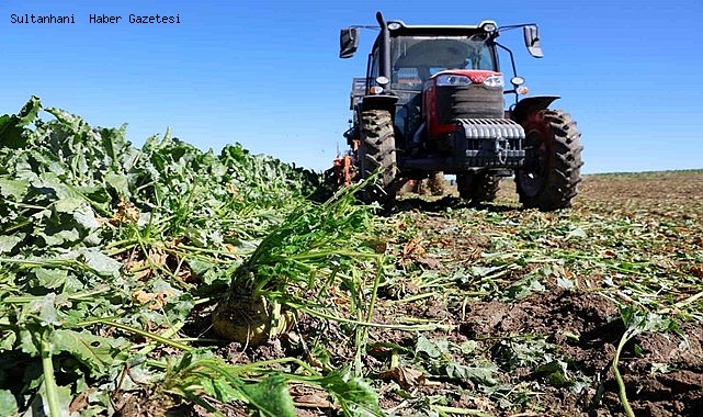 ŞEKER PANCARI TOHUMUNDA DIŞA BAĞIMLILIĞI BİTİRECEK HAMLE