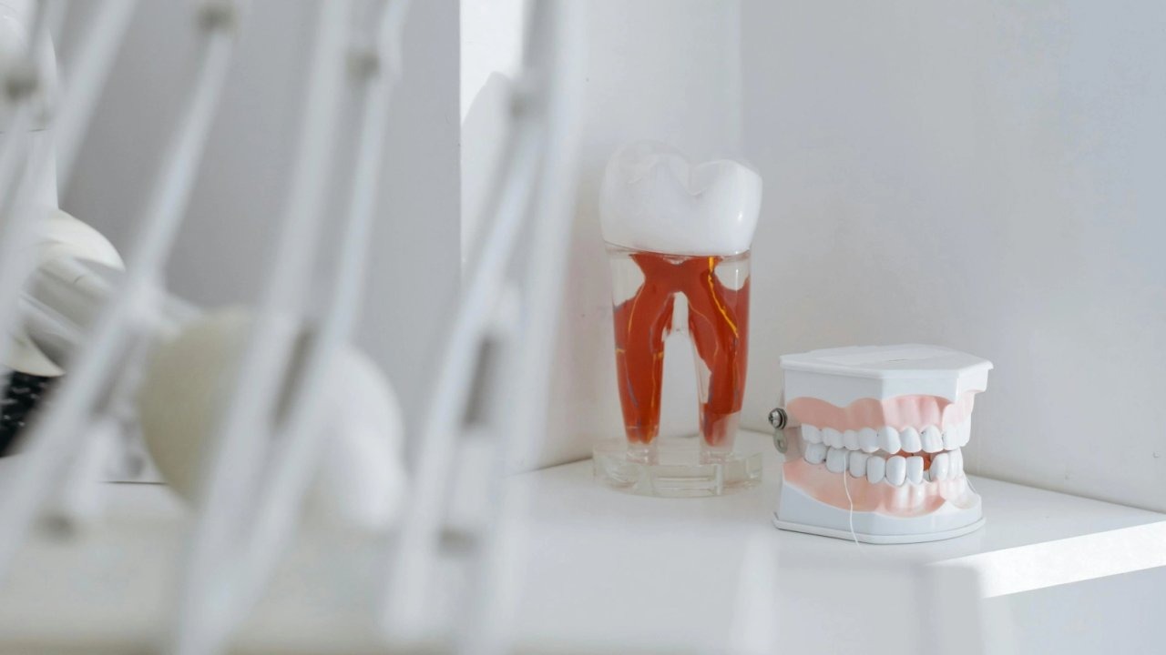 Diş hekimleri de 14 Şubat&#039;ta iş bırakıyor! Mesleklerine olan sevgilerini eylemle gösterecekler!