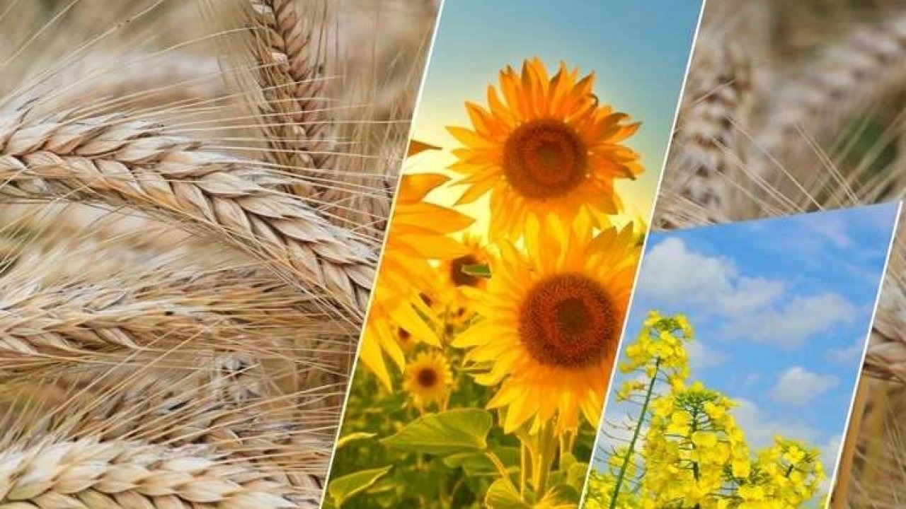 2,6 milyar TL&#039;lik tarımsal destek ödemesi yapılacak