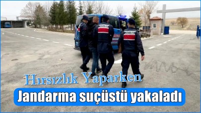Hırsızlık zanlısı Jandarma tarafından suçüstü yakalandı