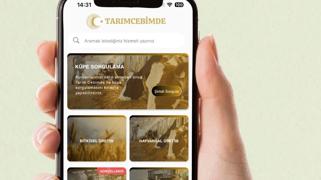 Kurbanlık seçimi bu uygulama ile daha güvenli