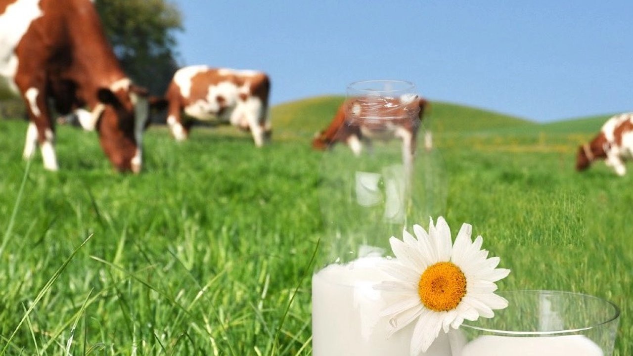 Bakan Yumaklı: Türkiye süt üretiminde büyüyor