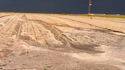 Sultanhanı'nda sağanak ve dolu tarım arazilerini vurdu