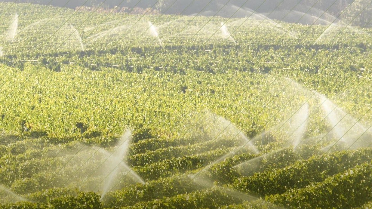 7 bin 160 tarımsal projeye 10,2 milyar TL&#039;lik hibe