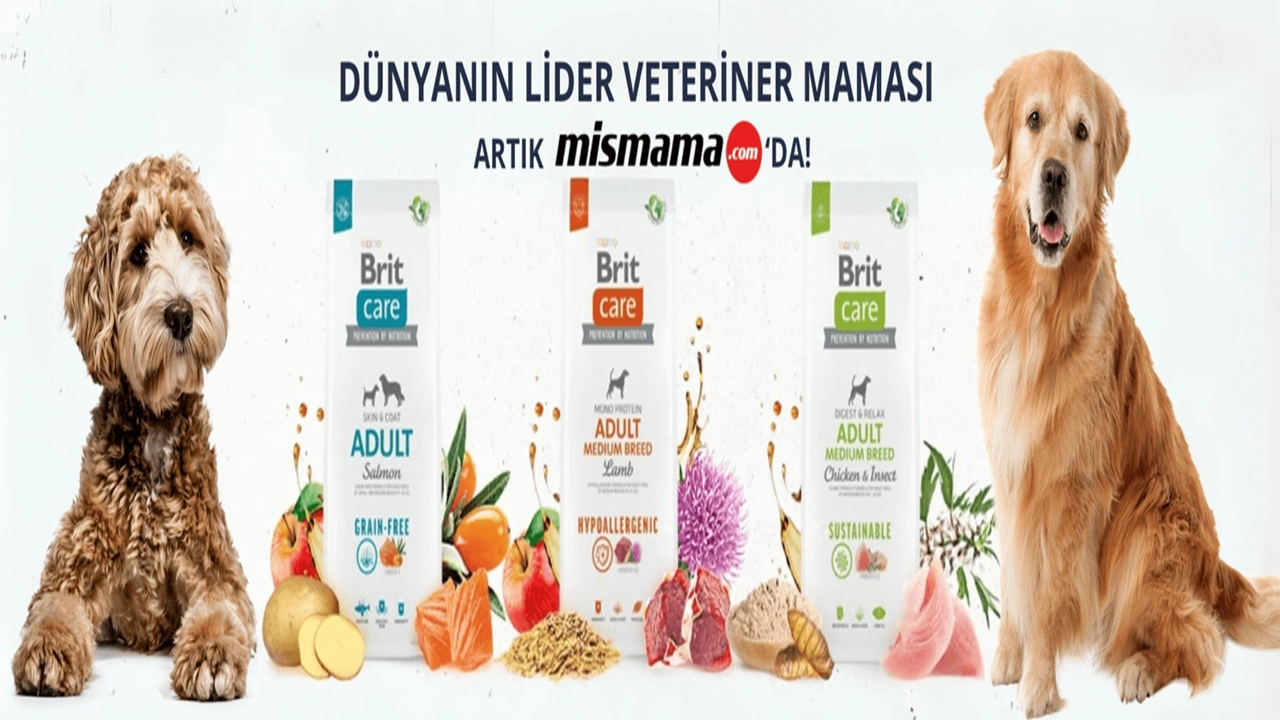 Kuru Mama Alışverişinde Kolaylık ve Güven Pluxee Ödeme, Hızlı Teslimat, Kaliteli Markalar