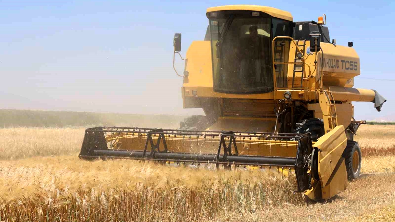 Konya ovasında ciddi rekolte kaybı var