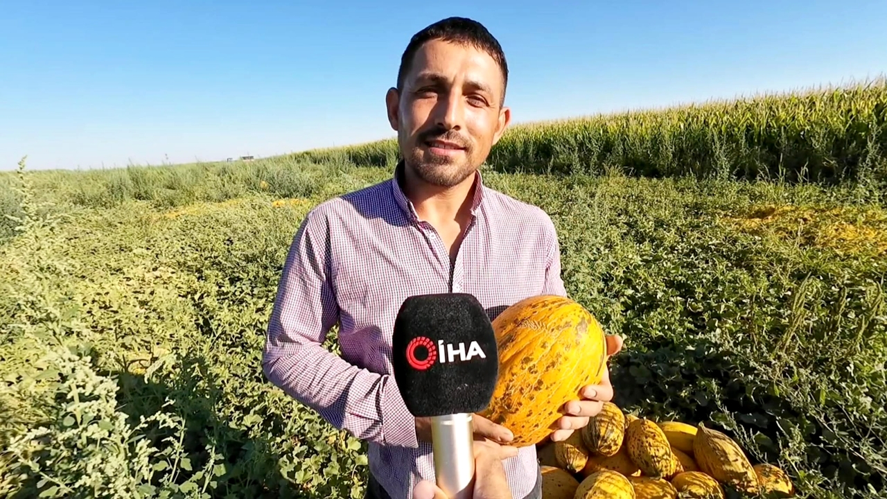 Sultanhanı kavun ve karpuzu lezzetiyle ilgi görüyor