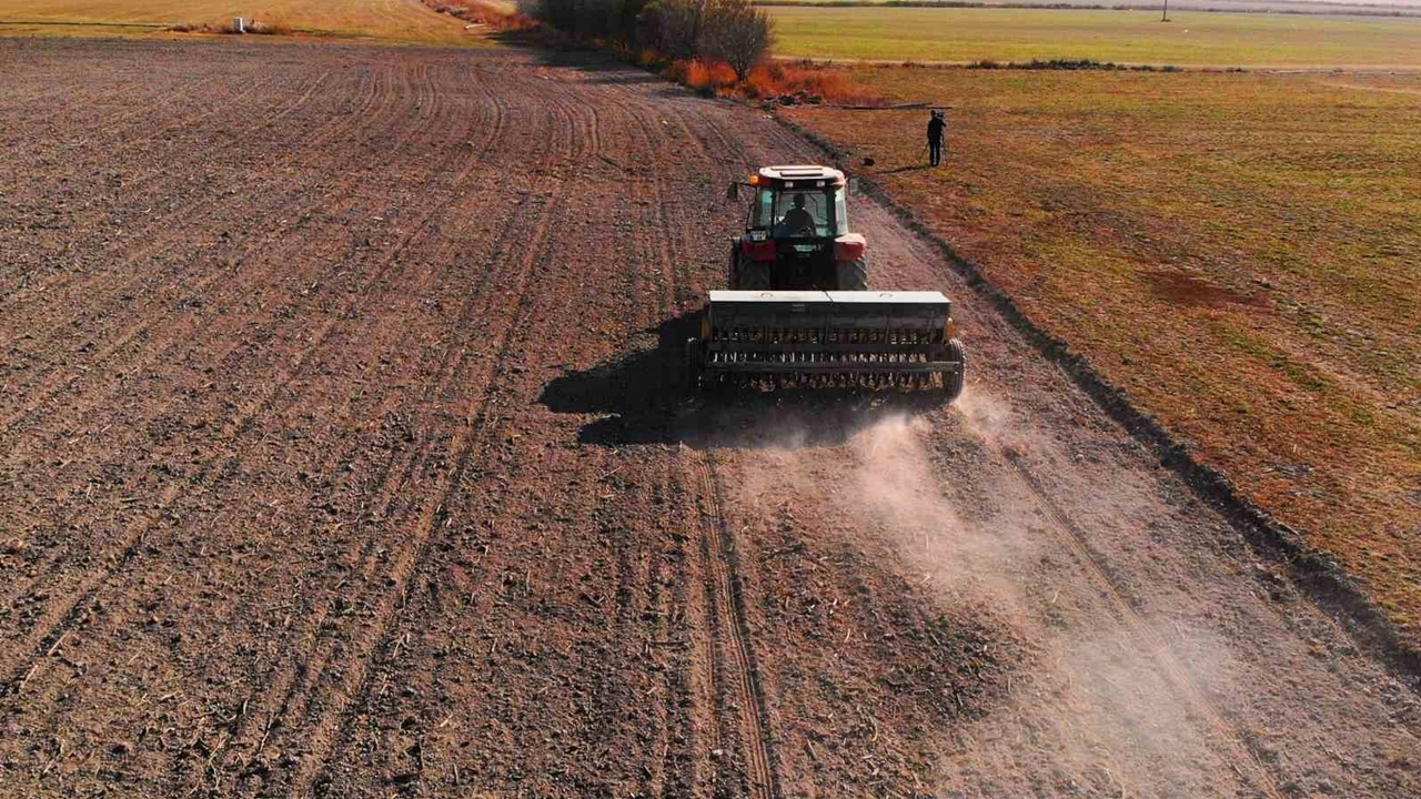 Hububat ekiminde ’su tasarruflu ürün’ tercih edin uyarısı