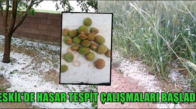 ESKİL’DE HASAR TESPİT ÇALIŞMALARI BAŞLADI