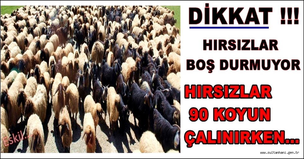 ESKİL DE KOYUN HIRSIZLIĞI GİRİŞİMİ
