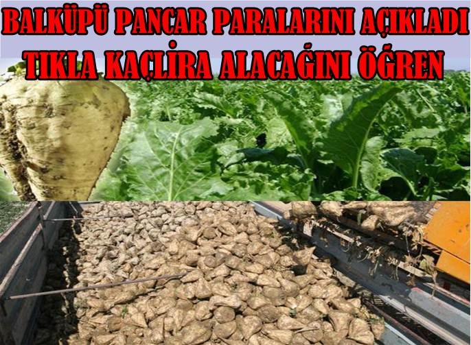 Sultanhanı Balküpü Pancar Paralarını Açıkladı