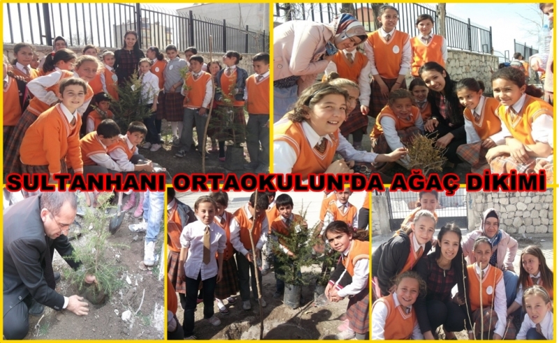 Sultanhanı Ortaokulun&#039;da Fidan Dikimi