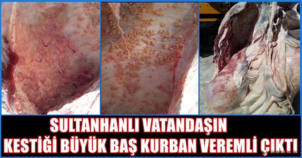 SULTANHANINDA BİR VATANDAŞIN KESTİĞİ KURBAN VEREMLİ ÇIKTI