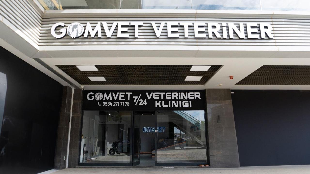 Kadıköy Veteriner Klinikleri: Uygun Fiyat Ve Güvenilir Hizmetler