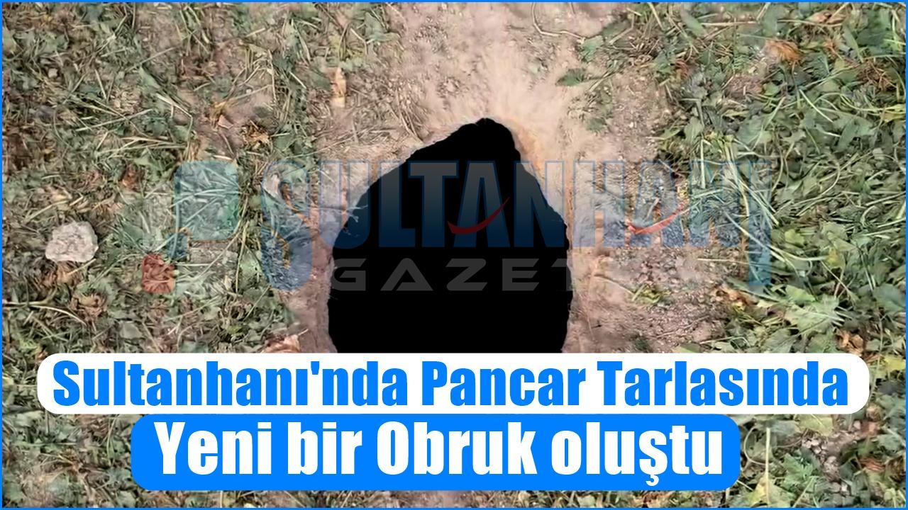 Sultanhanı&#039;nda Pancar Tarlasında Yeni bir Obruk oluştu