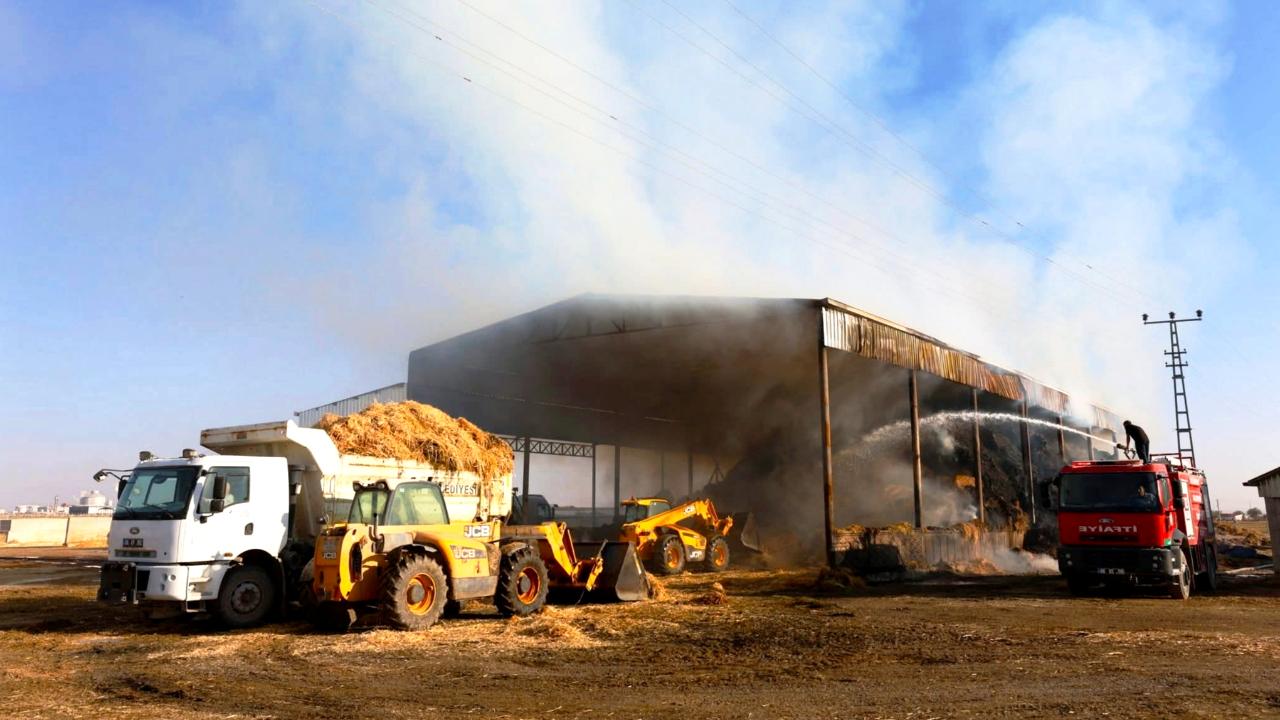Sultanhanı&#039;nda yüksek gerilim hattına çarpan kuş sürüsü çiftlikte yangına neden oldu