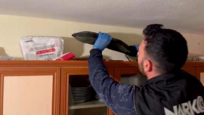 Uyuşturucu ve Silah Operasyonu: Şüpheliler Tutuklandı