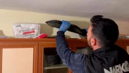 Uyuşturucu ve Silah Operasyonu: Şüpheliler Tutuklandı