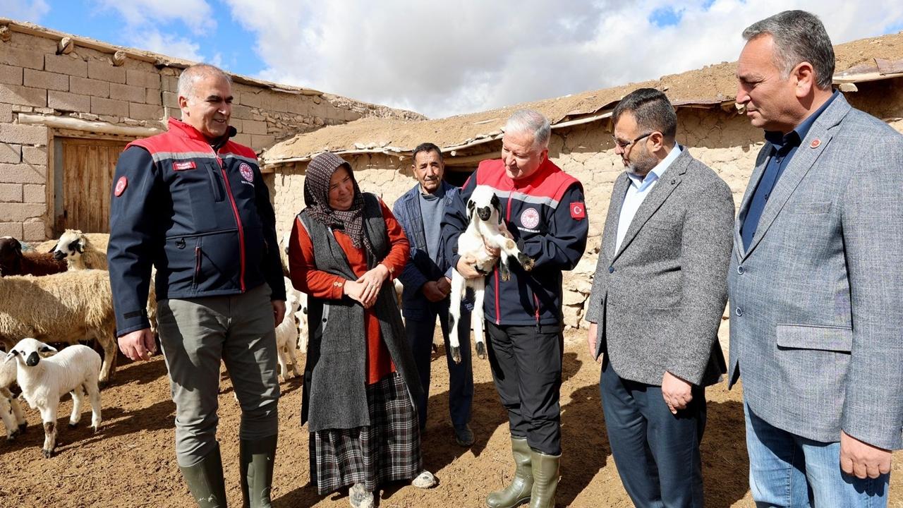 Aksaray’da küçükbaş hayvancılığa önemli destek sağlayacak proje başlıyor