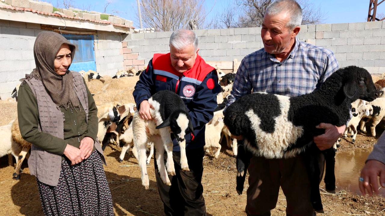 Sultanhanılı Köse Ailesi Çobanlık Yaparak 4 Evladını Okuttu