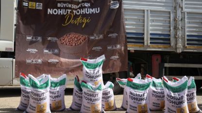Konya'da Yüzde 50 hibeli nohut tohumları dağıtılıyor