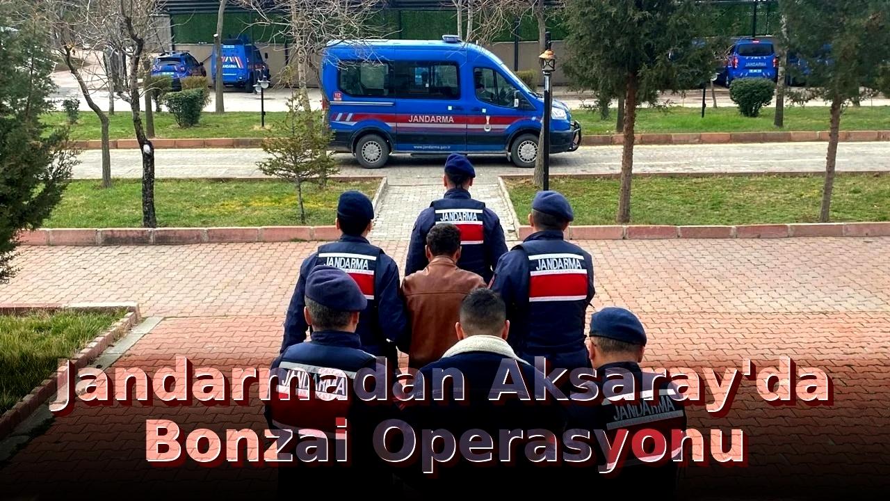 Jandarmadan Aksaray'da Bonzai Operasyonu
