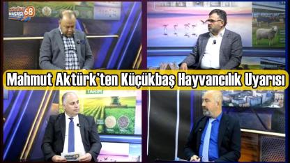 Mahmut Aktürk’ten Küçükbaş Hayvancılık Uyarısı: "Anadolu’nun Genetiği Koyunculuktur"